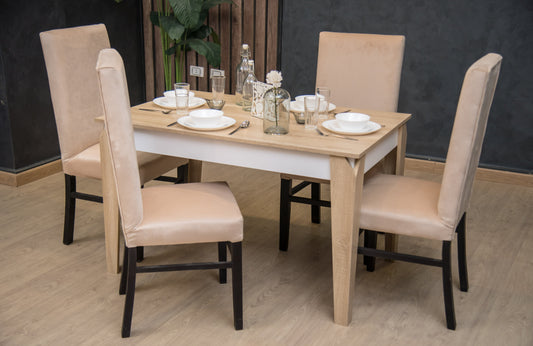 Dining Table - 120 x 80 x 76 cm | HA-DT-245